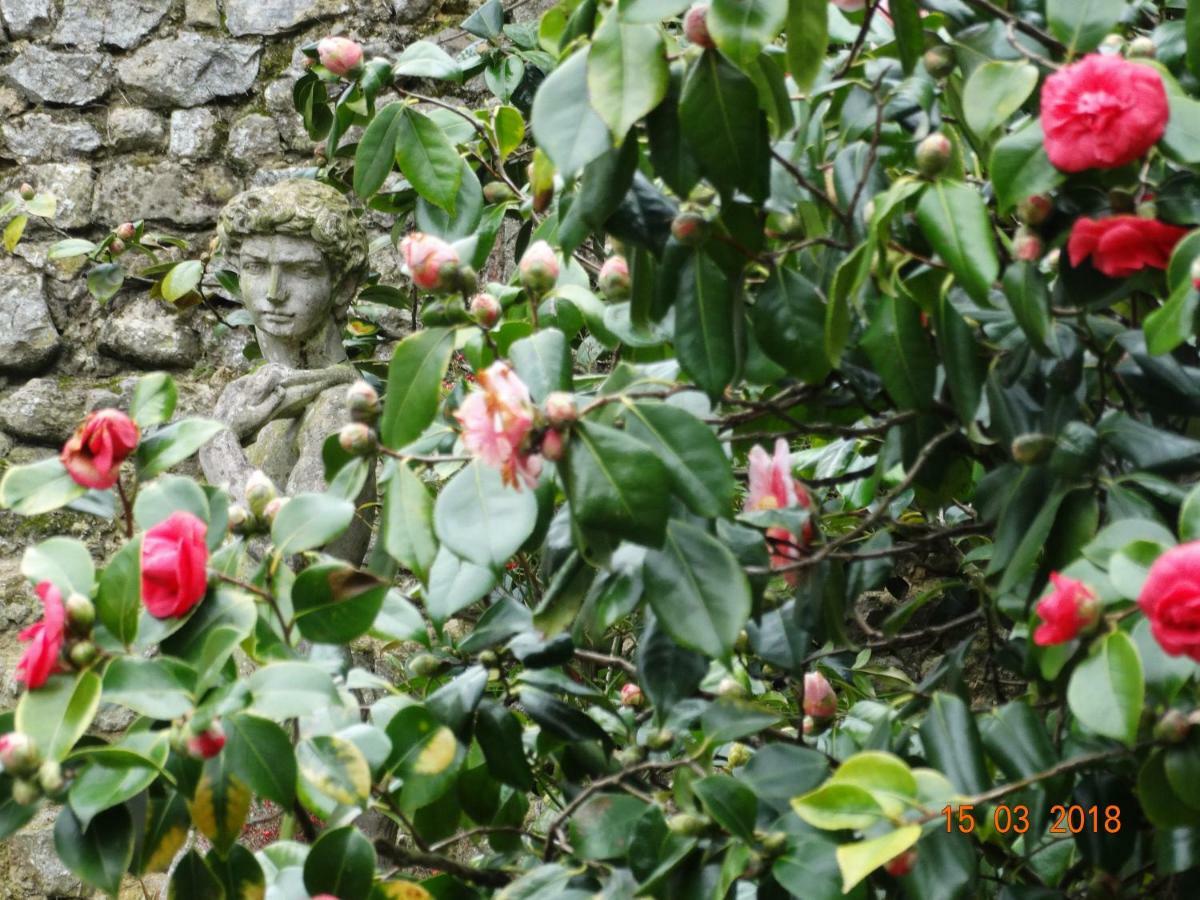 Hotel Particulier "Le Clos De La Croix" Bayeux Exterior photo